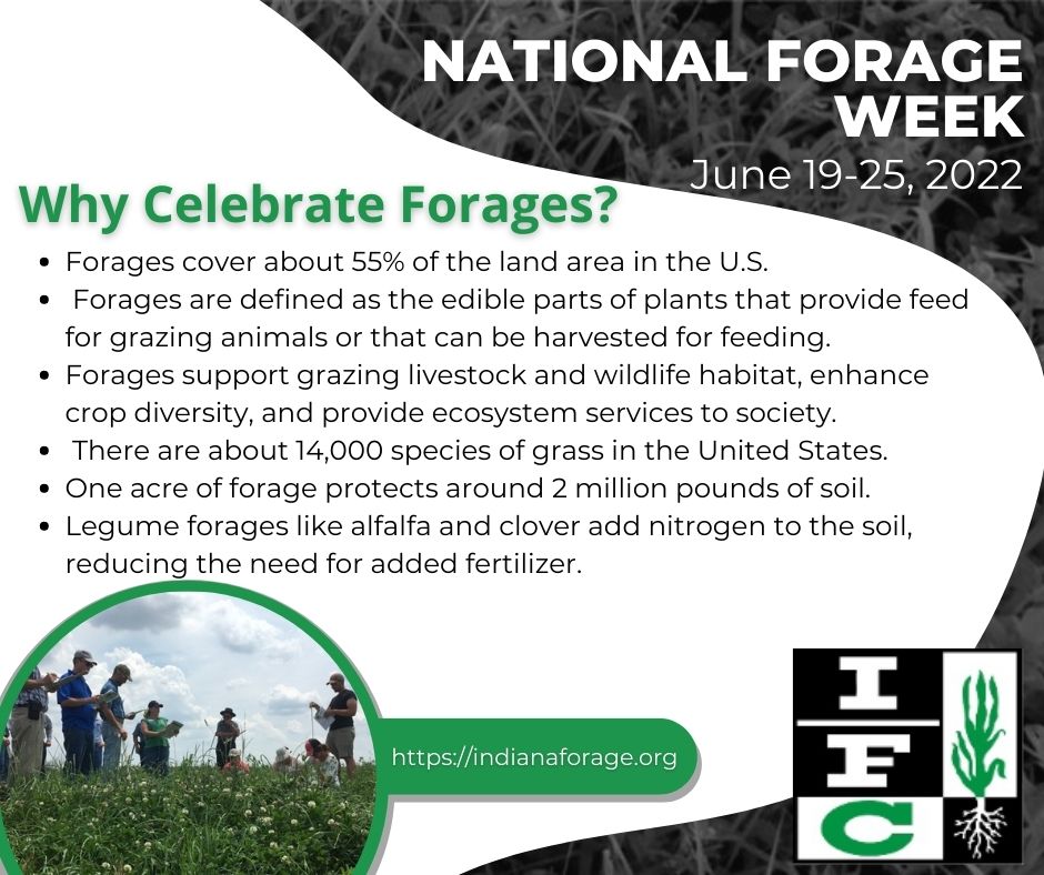 National Forage Week June 19-25, 2022