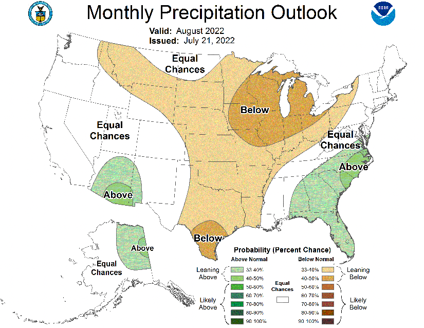 Figure 3.  Climate outlook for August from the national Climate Prediction Center.  Levels of shading indicate levels of confidence for above- or below-normal conditions to occur.