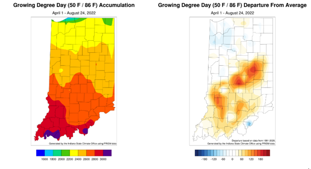 Figure 3. Left – Modified Growing Degree Day accumulations April 1-August 24, 2022. Right – Modified Growing Degree Day accumulations from April 1-August 24, 2022 represented as the departure from the 1991-2020 climatological average.