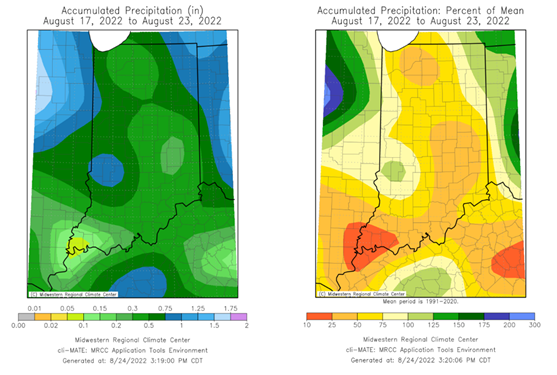 Figure 4. Left - Accumulated precipitation from August 17-23. Right – Accumulated precipitation from August 17-23, represented as the percent of the 1991-2020 normal precipitation that fell during this period. 