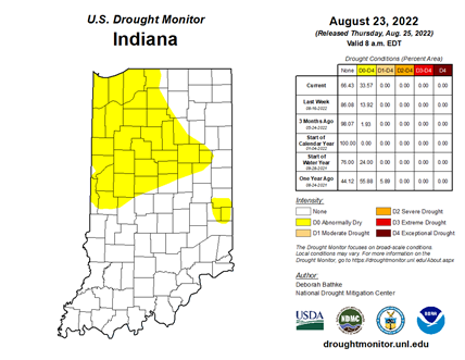 Figure 6. Indiana US Drought Monitor from August 23, 2022. 