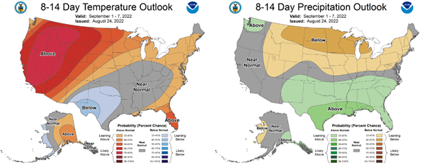 Figure 8. The Climate Prediction Center’s 8-14-day temperature (left) and precipitation (right) outlooks for September 1-September 7, 2022. 