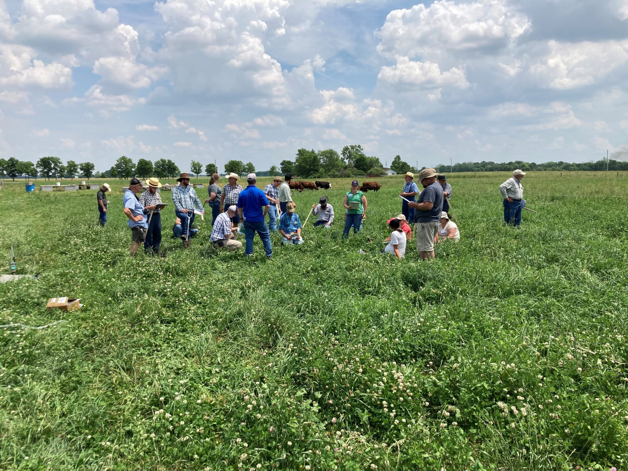 Participants at the Forage Management Day will experience active learning. (Photo Credit: Keith Johnson)
