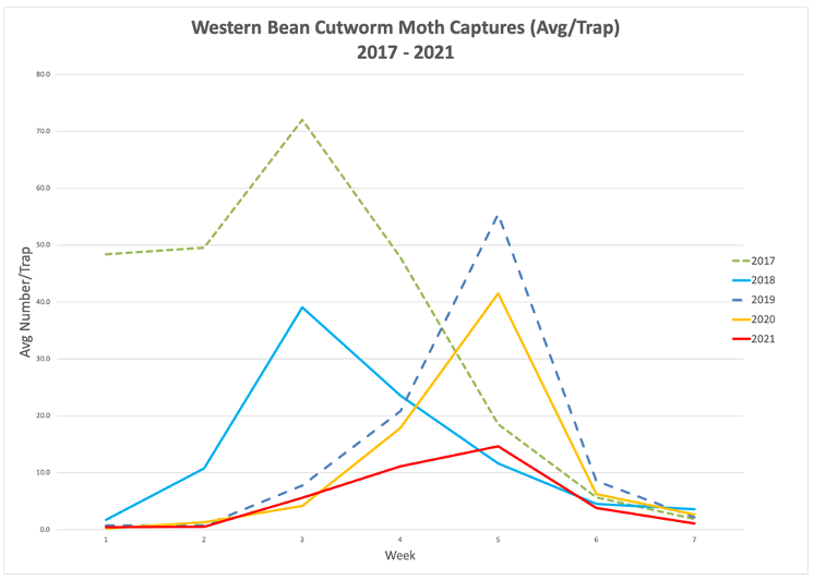 Western bean cutworm moth captures 2017-2021