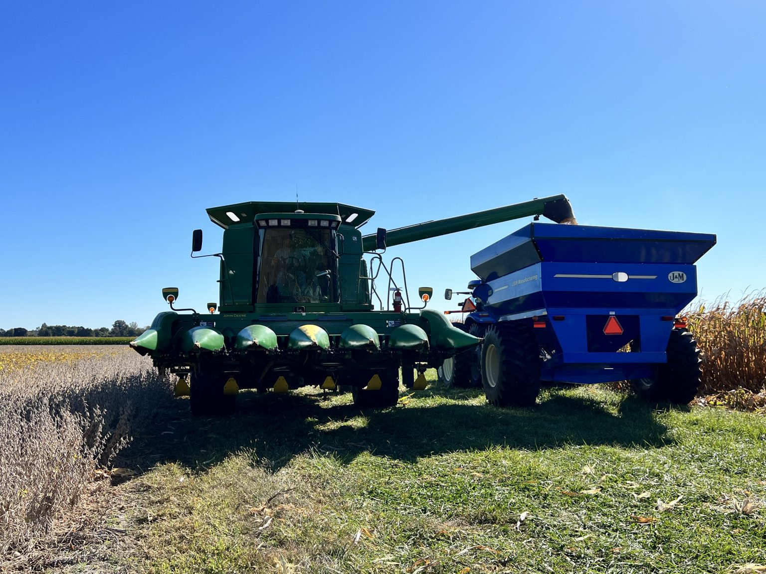 Harvesting Corn Based on Moisture Levels: What You Should Know