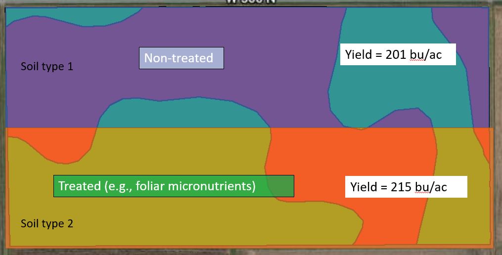 Figure 1. Example of a split-field comparison between a non-treated control and a designated treatment.