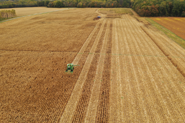 Figure 4. Harvest of field-scale fertilizer trial at SEPAC in 2019.