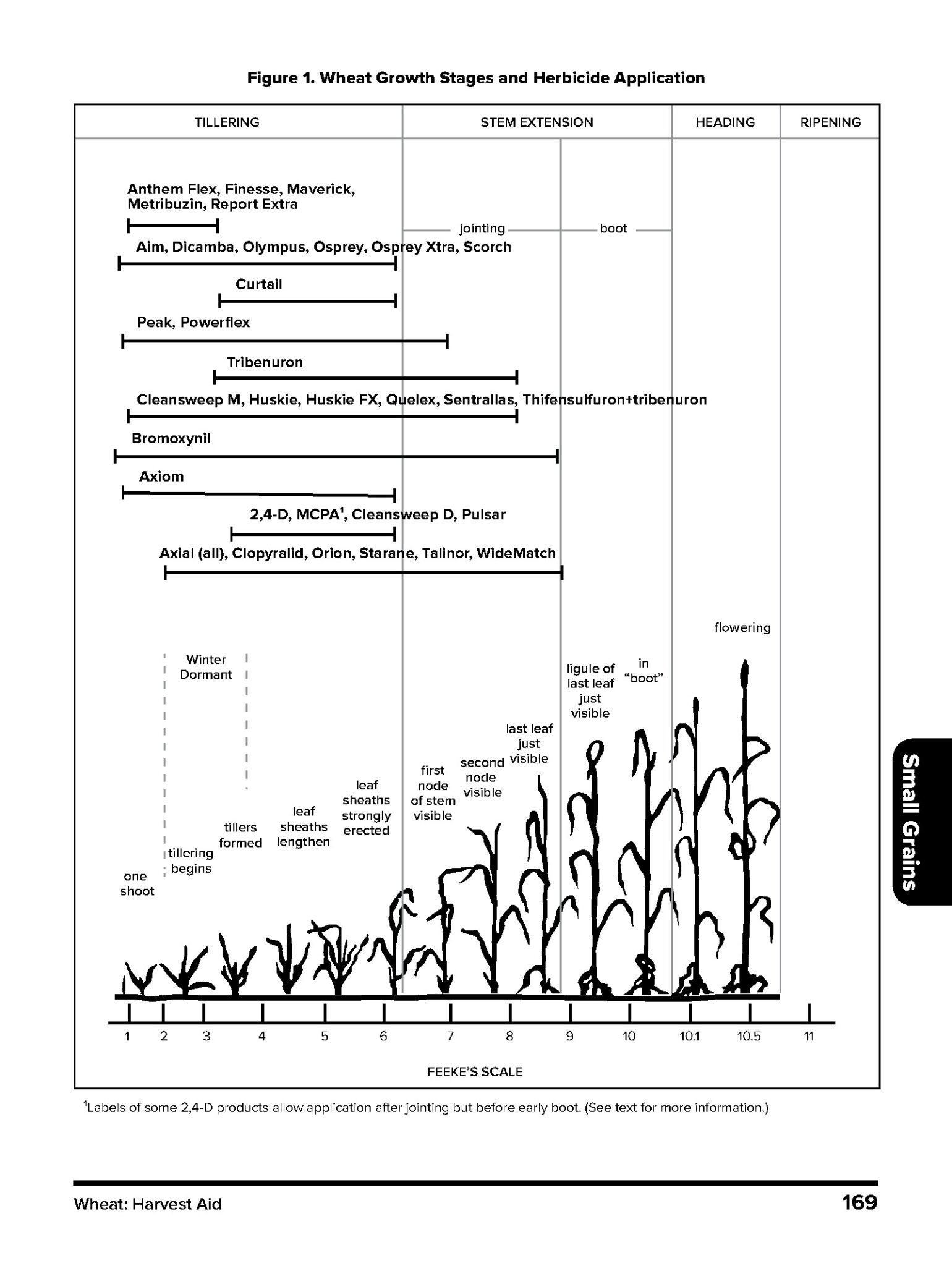 Figure 1. Feeke’s scale of winter wheat stages and herbicide application timings (Source: 2023 Weed Control Guide for Ohio, Indiana, and Illinois).