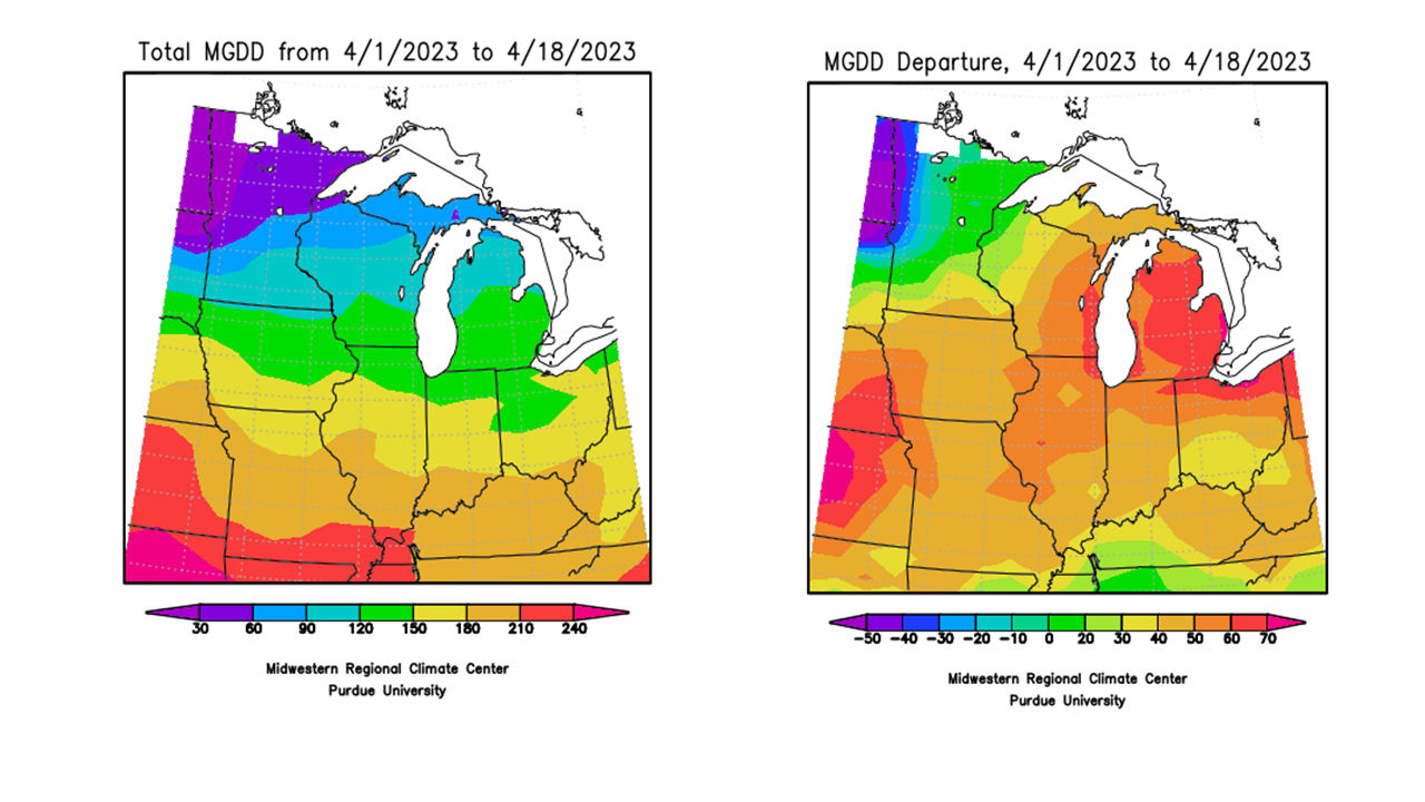 Figure 2: Total Accumulated Midwest Modified Growing Degree Days (MGDDs) April 1-18, 2023 (left) and Total Accumulated MGDDs represented as the departure from the 1991-2020 climatological normal (right). 