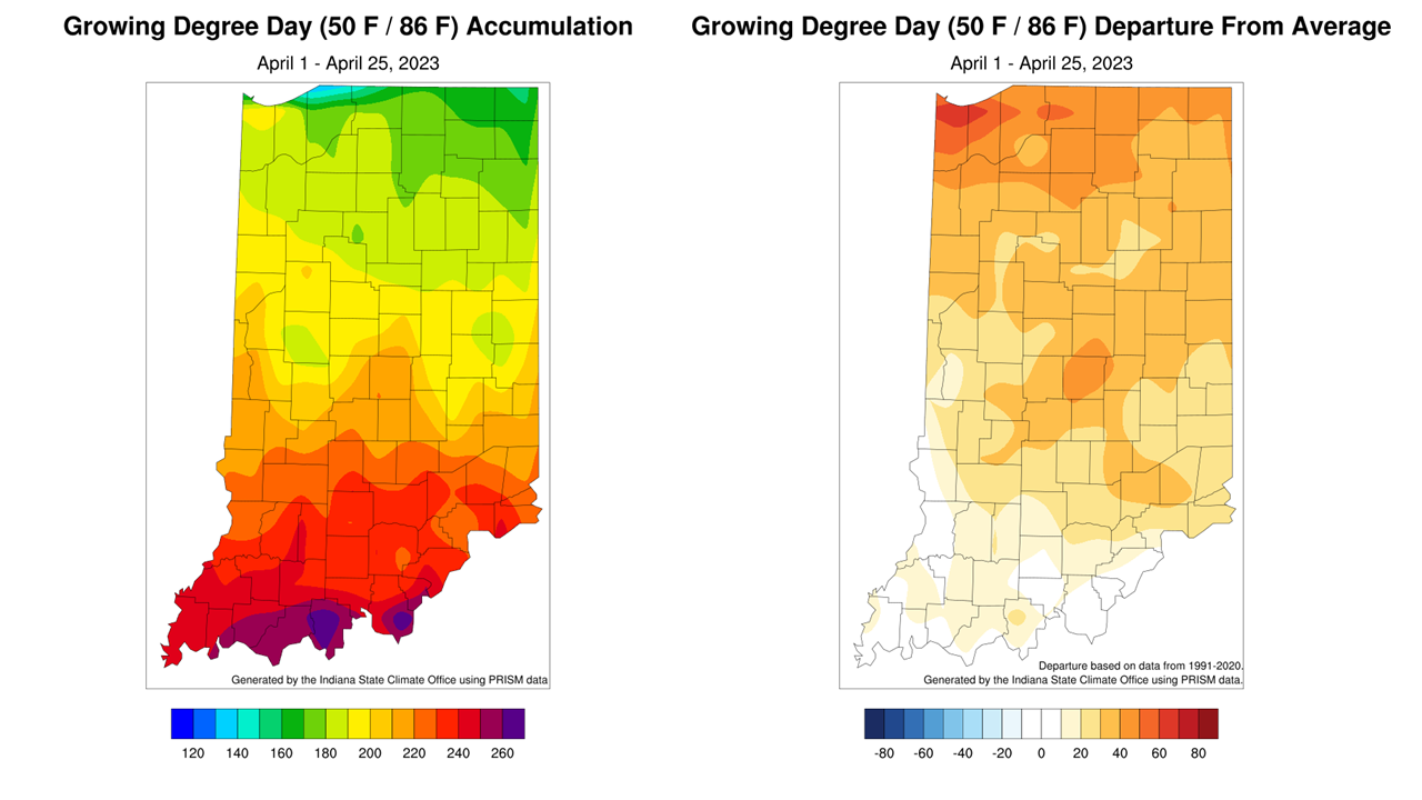 Figure 3: Total Accumulated Indiana Modified Growing Degree Days (MGDDs) April 1-25, 2023 (left) and Total Accumulated MGDDs represented as the departure from the 1991-2020 climatological normal (right). 
