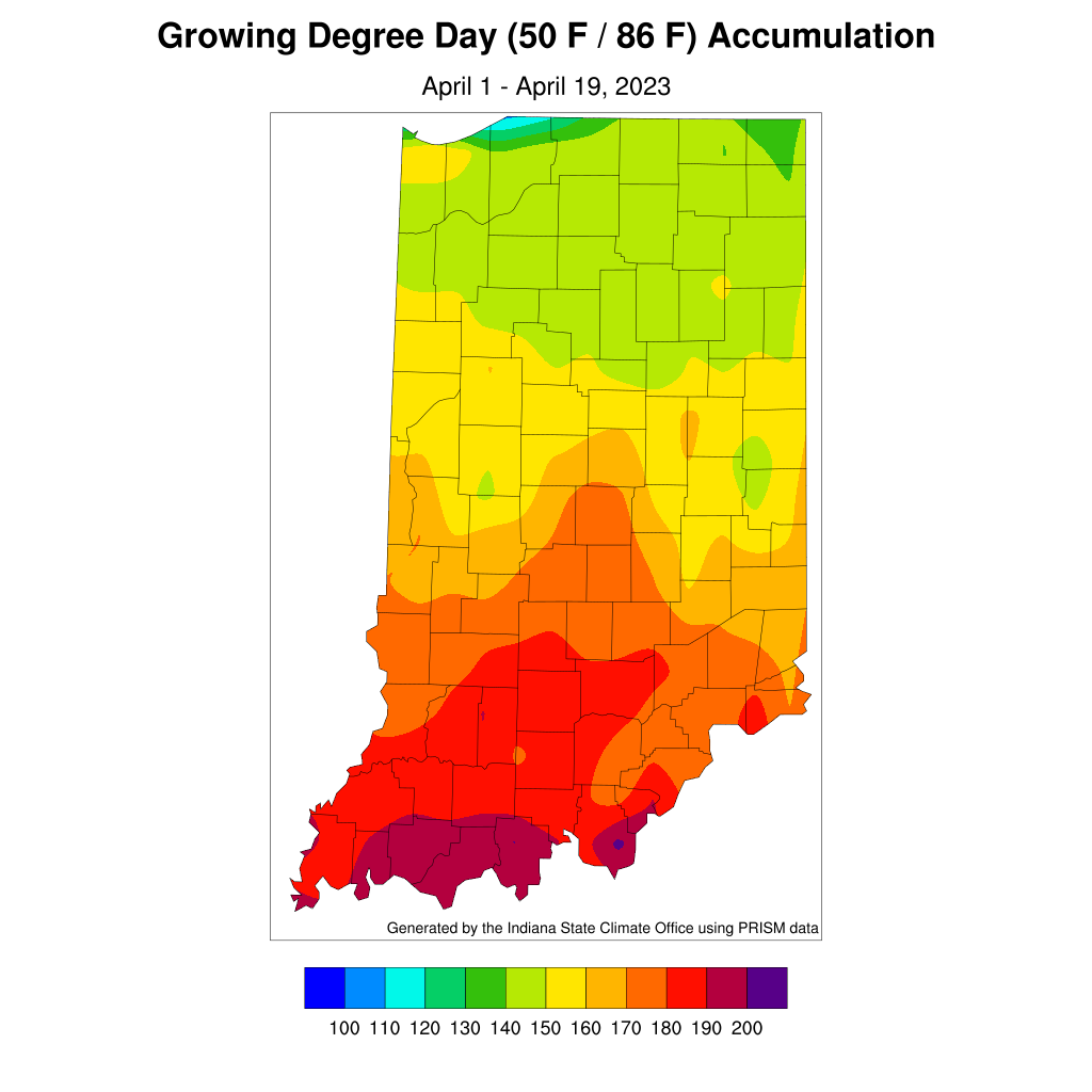 From April 1, our first major black cutworm capture, this map shows accumulated degree days at 50-degree base. 300 accumulated degree days signals the need for scouting in high-risk emerging fields.