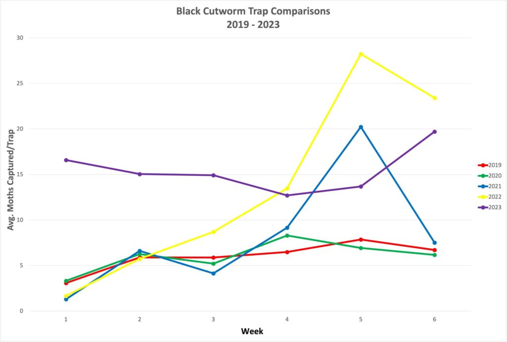 BCW Trap Comparison