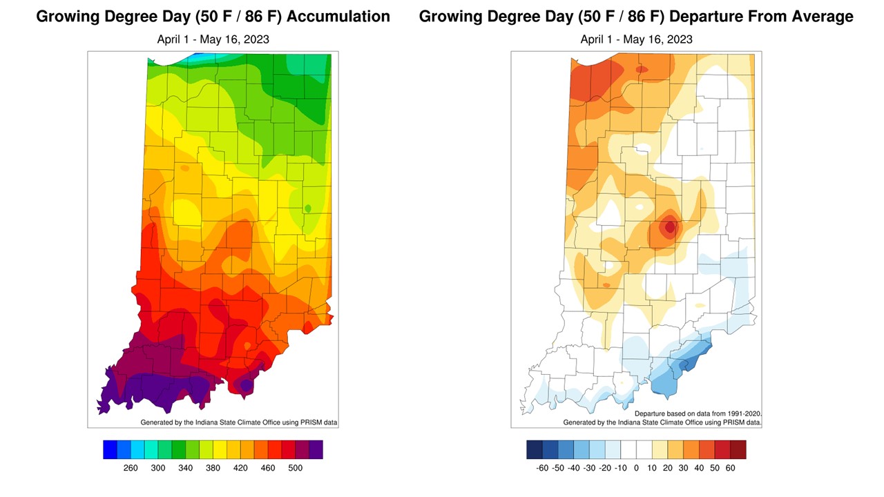 Figure 2: Total Accumulated Indiana Modified Growing Degree Days (MGDDs) April 1-May 16, 2023 (left) and Total Accumulated MGDDs represented as the departure from the 1991-2020 climatological normal (right). 