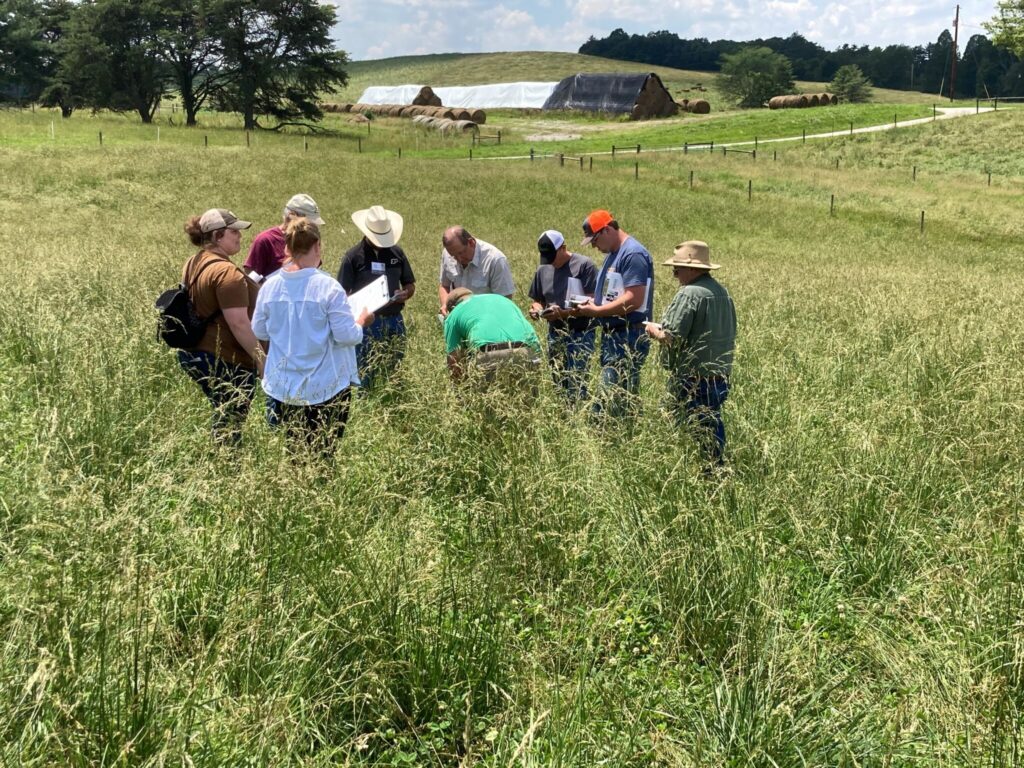 Grazing Schools Provide An Opportunity For Handson And Visual Learning