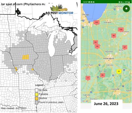 Figure 3. Tar spot map for June 27, 2023 (source https://corn.ipmpipe.org/ ) and Tarspotter App forecast from June 26, 2023. Red color indicates favorable environmental conditions for tar spot if corn at V8 or older. Source: Tarspotter App v. 0.53.3 Smith, D., et al. ©2022 Board of Regents of the University of Wisconsin System.
