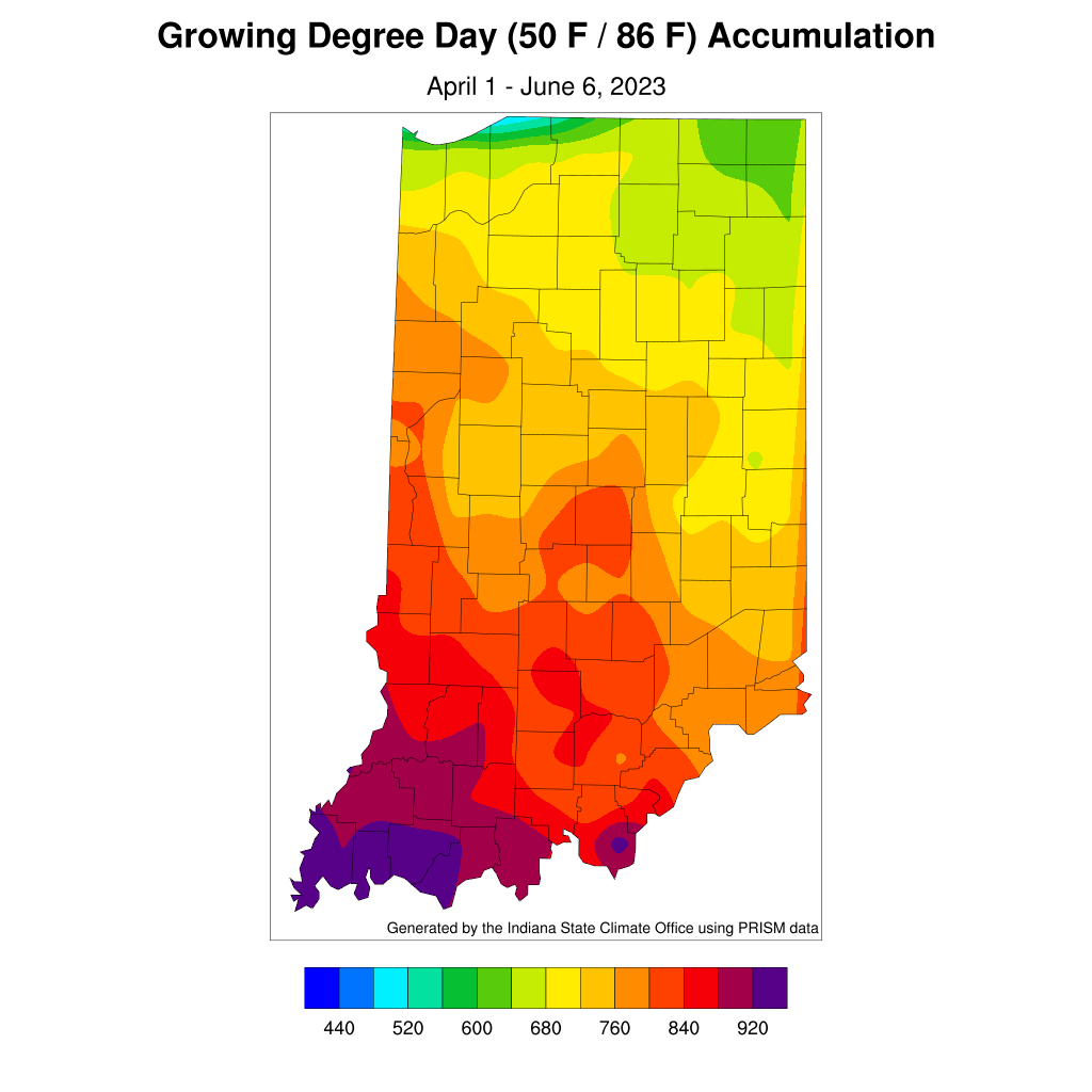 Figure 4. Modified growing degree day (50°F / 86°F) accumulation from April 1-June 6, 2023.