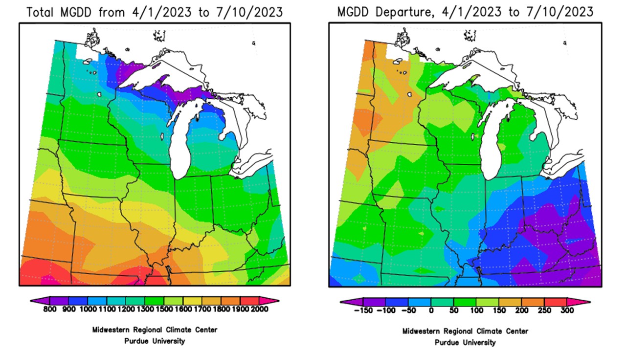 Figure 4: Total Accumulated Indiana Modified Growing Degree Days (MGDDs) April 1-July 10, 2023 (left) and Total Accumulated MGDDs represented as the departure from the 1991-2020 climatological normal (right). 