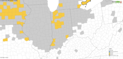 Tar Spot Update In Indiana | Purdue University Pest&Crop newsletter