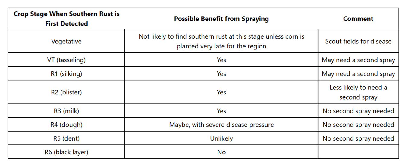 Figure 4. A decision table for southern rust outlining possible benefits from applying fungicides based on when disease is first detected in a field and crop growth stage. Source: Crop Protection Network https://cropprotectionnetwork.org/maps/southern-corn-rust