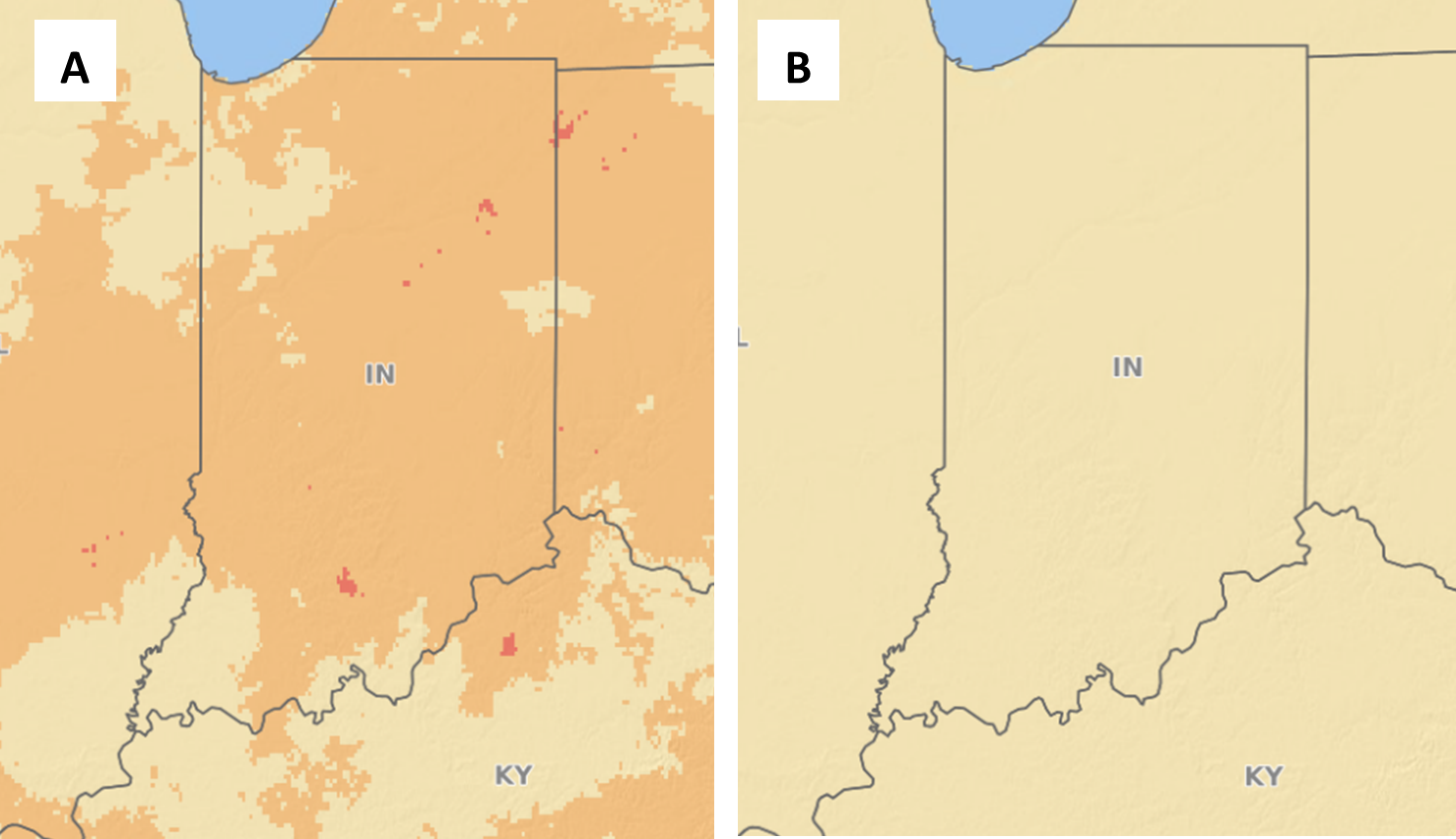 Figure 1. Fusarium Head Blight Risk for Indiana on 5/19/2026 for a susceptible cultivar (A) and moderately susceptible cultivar (B). https://www.wheatscab.psu.edu/