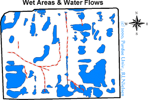 Wet Areas & Water Flows