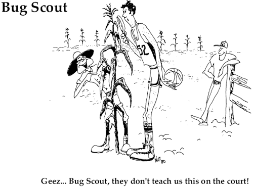 Bug Scout- Geez... Bug Scout, they don't teach us this on the court