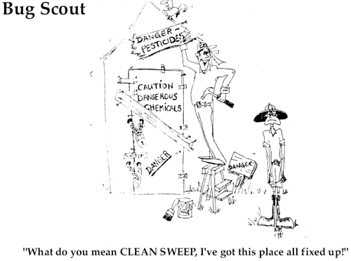 Bug Scout- What do you mean CLEAN SWEEP, I've got this place all fixed up