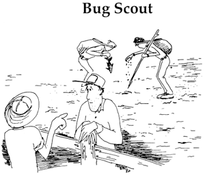 Bug Scout