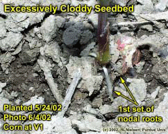 Excessively Cloddy Seedbed