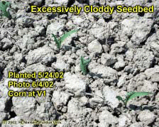 Excessively Cloddy Seedbed