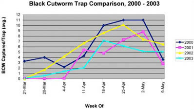 Black Cutworm Trap Comparison, 2000-2003