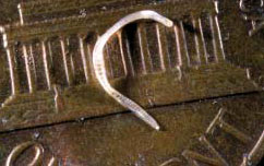 Juvenile earthworm on a penny
