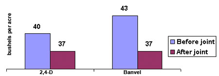 Wheat yield following 2,4-D and Banvel applications at Columbia, MO