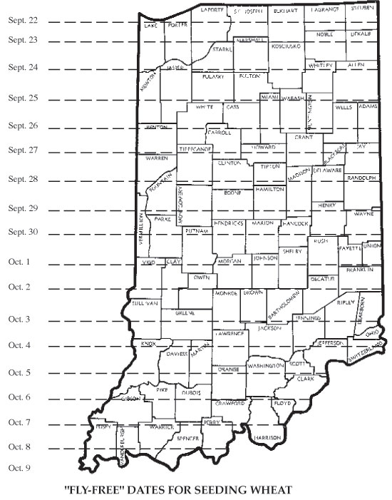 "Fly-Free" Dates For Seeding Wheat