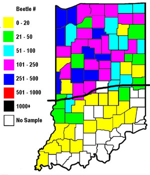 2005 Indiana County Western Corn Rootworm Sweep