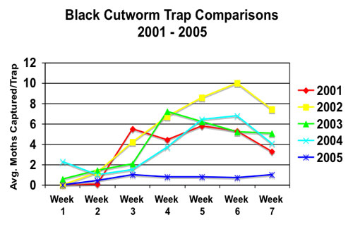Black Cutworm Trap Comparisions. 2001-2005