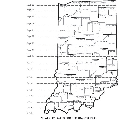 "Fly-free" dates for seeding wheat