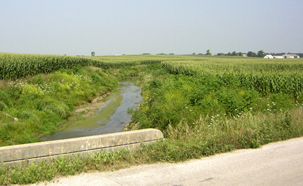 Stream surrounded by corn fields