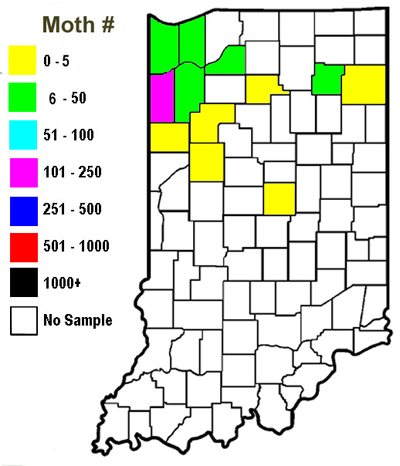 Indiana county western bean cutworm moth captures in pheromone traps throughout Indiana 2006