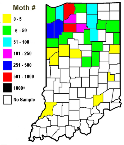 Indiana county western bean cutworm moth captures in pheromone traps throughout Indiana 2008