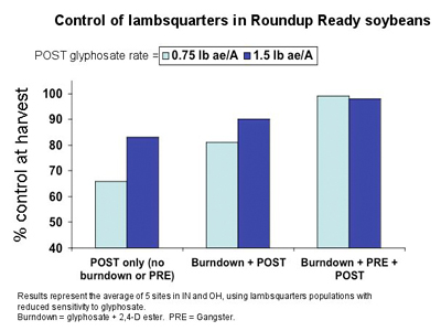 control of lambsquarters
