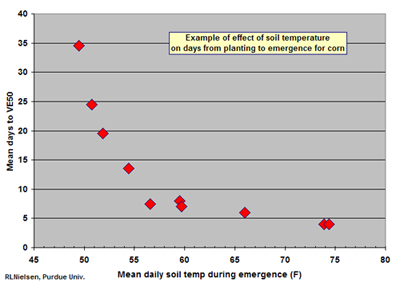 example of the effect of soil temperature on the timing of corn emergence