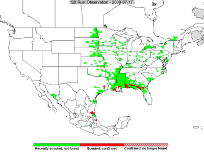 soybean rust observation