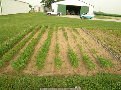 this field deserves some inspection