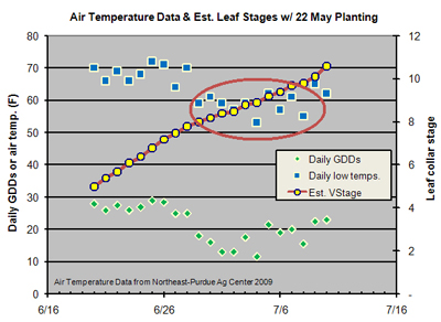 example of timing of leaf stage and air temperature relative to the occurrence of BES ina field in NE Indiana 2009