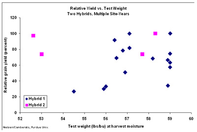 relative grain yield versus test weight for two hybrids and multiple site-years in Indiana, 2006-2009 (Nielsen & Camberato, Purdue University)