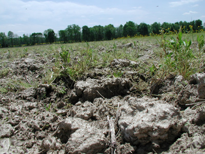 large clods from disking