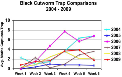 black cutworm trap comparisons