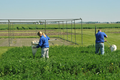 sweep net practice at the DTC