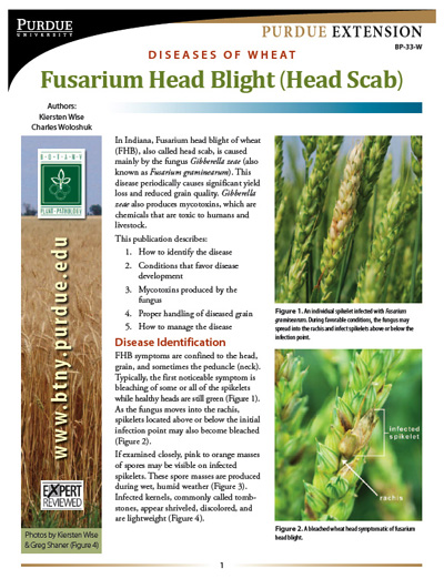 Fusarium Head Blight (HeadScab)